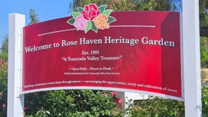 Temecula Rose Garden